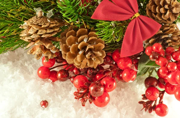Vánoční byrokracii a větev bobule a kožešin strom — Stock fotografie