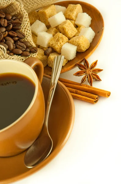 Cup of coffee with chocolates, coffee grains with cinnamon and an anise — Stock Photo, Image