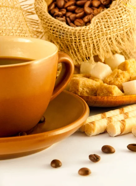 Cup of coffee with chocolates, coffee grains with cinnamon and an anise — Stock Photo, Image