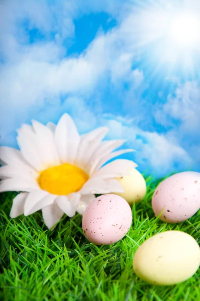 Easter card. Multi-colored eggs against the sky — Stock Photo, Image