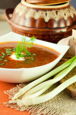 Borsch pancarı ve domates soslu lahana çorbası. Soğan Sarımsak ile