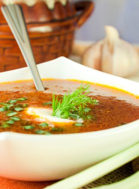 Borsch pancarı ve domates soslu lahana çorbası. Soğan Sarımsak ile