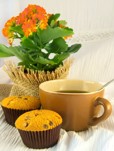 Tasty fruitcake and jug with milk, natural flowers — Stock Photo, Image