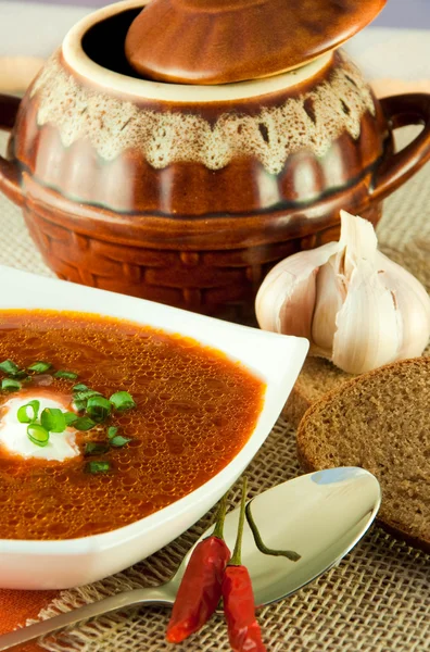 stock image Borsch, soup from a beet and cabbage with tomato sauce. Ethnic cuisine