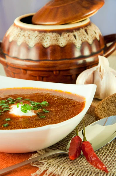 Stock image Borsch, soup from a beet and cabbage with tomato sauce. Ethnic cuisine