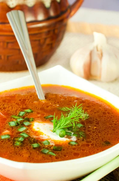 Borsch, soupe de betterave et chou à la sauce tomate. Un oignon à l'ail — Photo