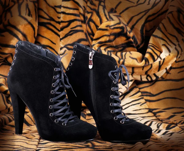 Boots from suede against a skin of a tiger — Stock Photo, Image