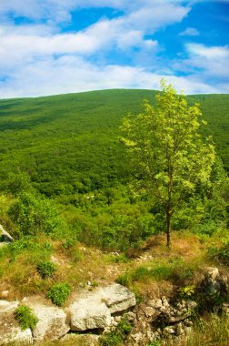 dağlar, gökyüzü ve yeşil alanlar Kırım, Ukrayna