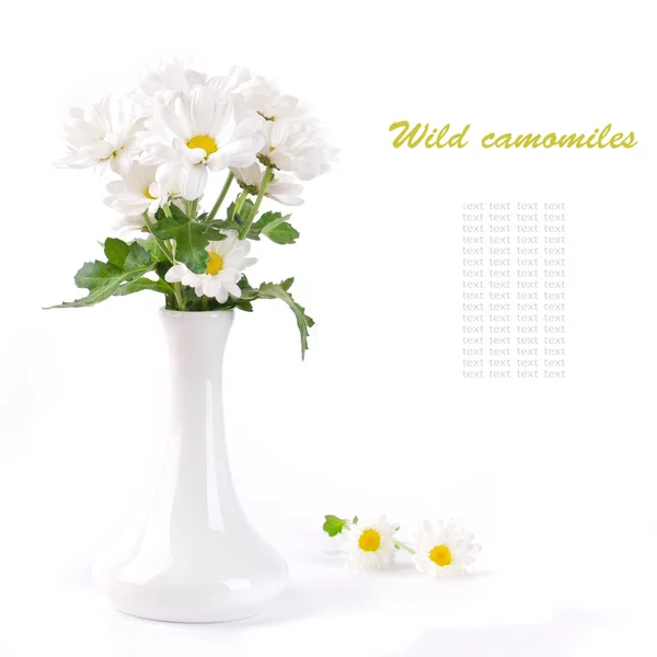 stock image White flowers, field camomiles in a vase with a red tape