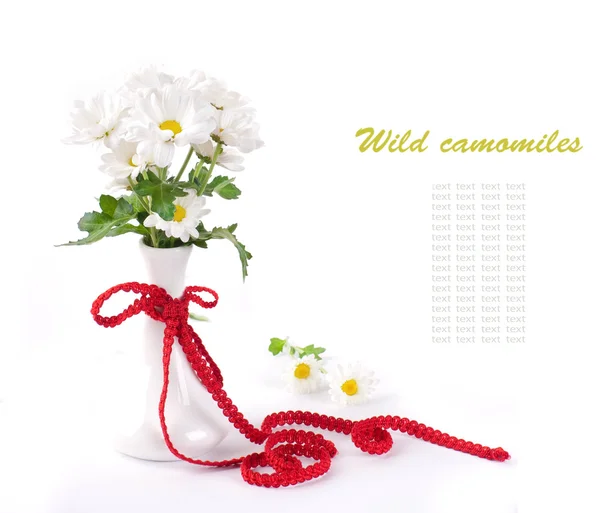Bílé květy, pole camomiles do vázy s červenou páskou — Stock fotografie