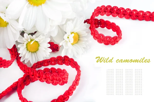 stock image White flowers, field camomiles in a vase with a red tape