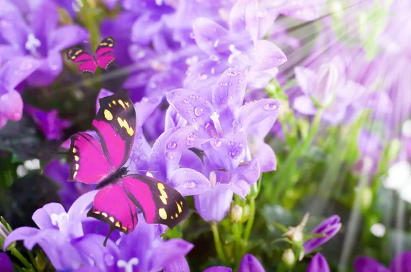 Flores e batterfly, sinos de mão azul escuro — Fotografia de Stock
