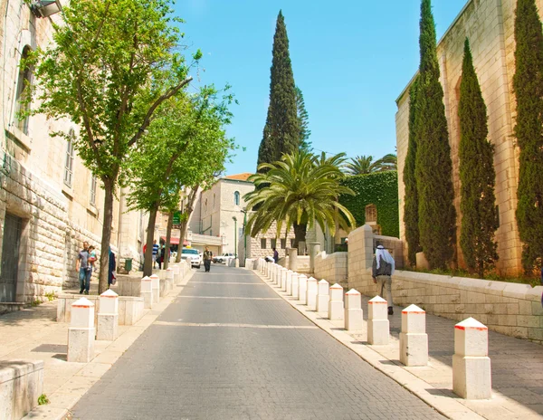 Ősi utca Nazareth, Izrael. Dátum palm fa — Stock Fotó