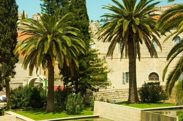 Rua antiga em Nazaré, Israel. Data palmeiras — Fotografia de Stock
