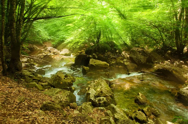 stock image Mountain River in the morning sun, summer day