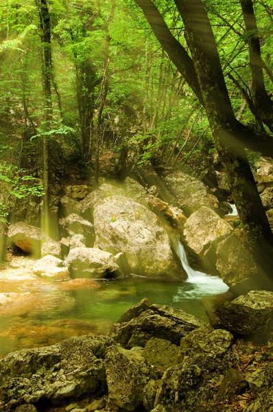 stock image Mountain River in the morning sun, summer day