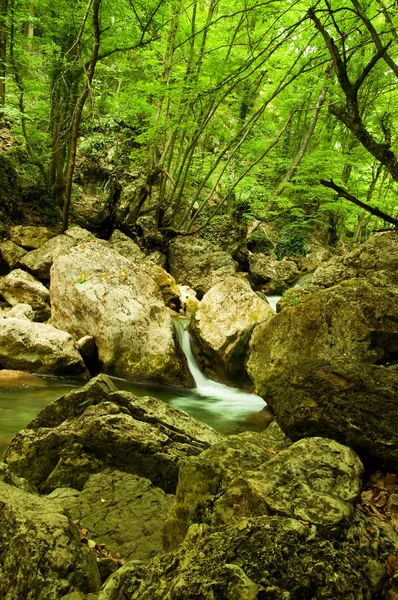 stock image Mountain River in the morning sun, summer day