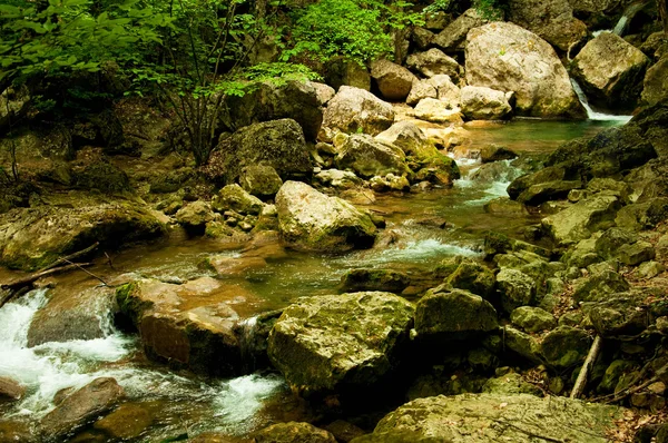 stock image Mountain River in the morning sun, summer day