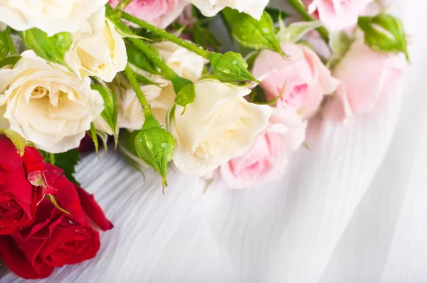 Beautiful roses in retro style — Stock Photo, Image
