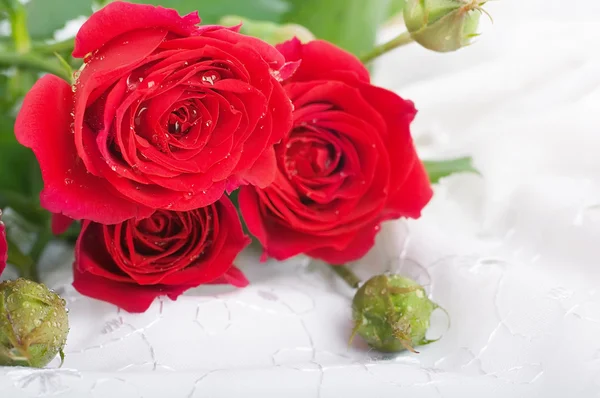 Retro tarzı güzel güller — Stok fotoğraf