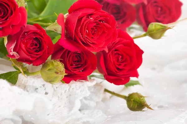 Красивые розы в стиле ретро — стоковое фото