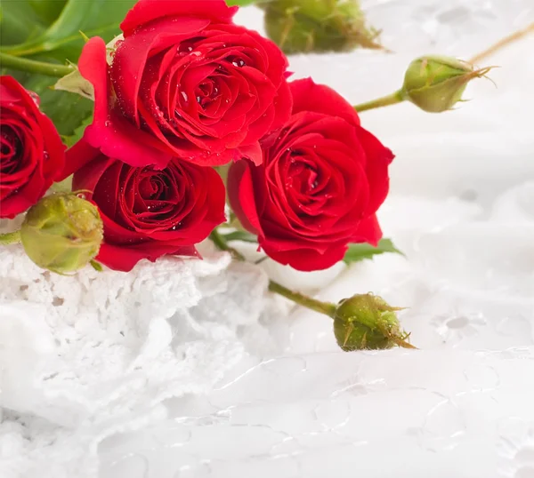Hermosas rosas en estilo retro — Foto de Stock