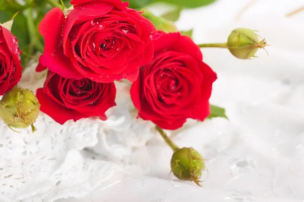 Hermosas rosas en estilo retro — Foto de Stock