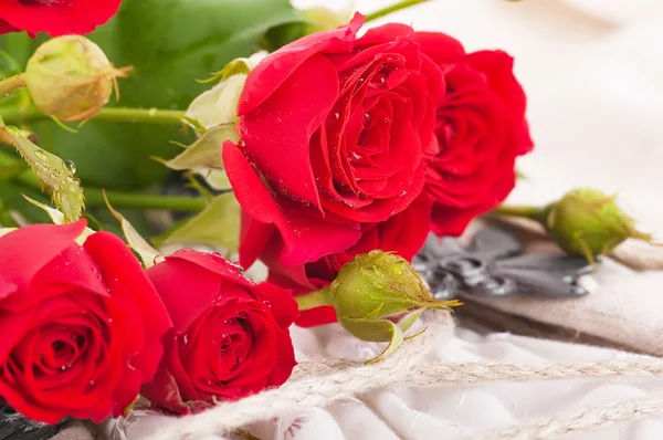 Piękne róże w stylu retro — Zdjęcie stockowe
