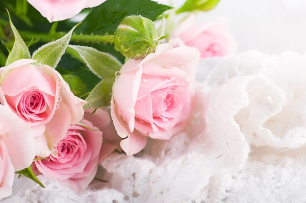 Hermosas rosas en estilo retro —  Fotos de Stock