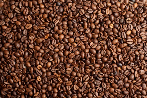 コーヒー豆の密接な背景 — ストック写真