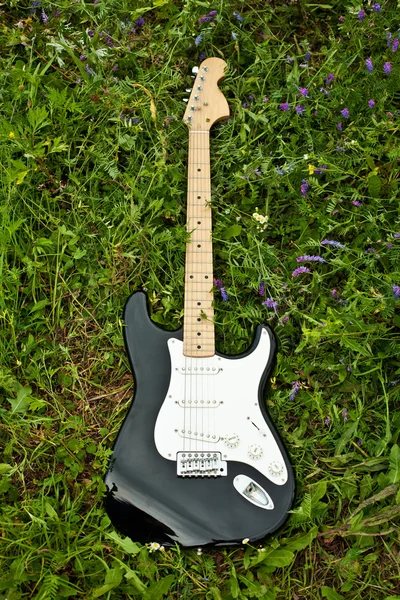 Guitar on green grass yard — Stock Photo, Image