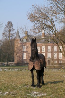 Horse in front of castle clipart