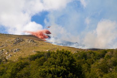 firefighter uçağı orman yangını söndürür.