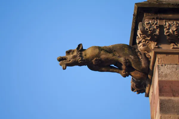 stock image Gargoyle wolf