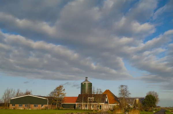 Hollanda çiftlik bulutlu gökyüzü altında — Stok fotoğraf