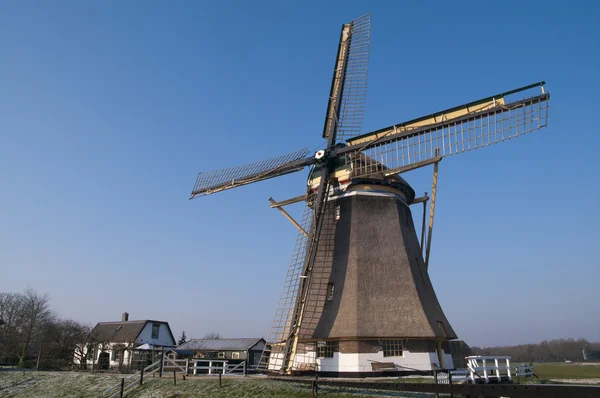 Holandský větrný mlýn v zimě — Stock fotografie