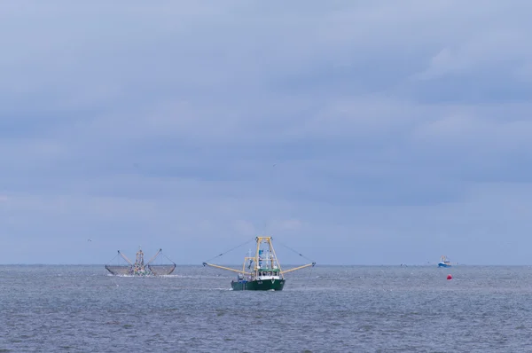 Креветочные лодки — стоковое фото