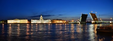 Palace Bridge and Vasilevsky Island clipart