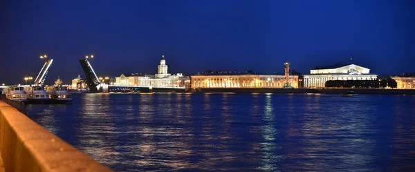 Ponte do Palácio e Ilha Vasilevsky — Fotografia de Stock