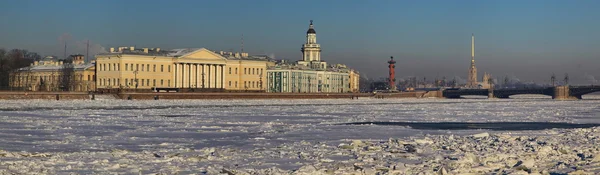 Rivier de Neva en de Universiteit embankmen — Stockfoto