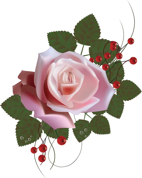 Rózsa, virág Stock Vektor