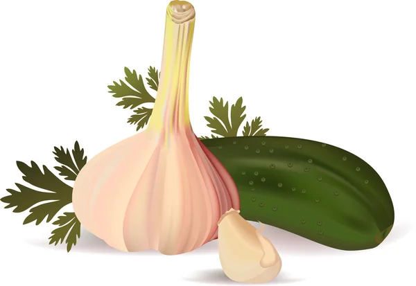 Garlic, cucumber Stock Vector