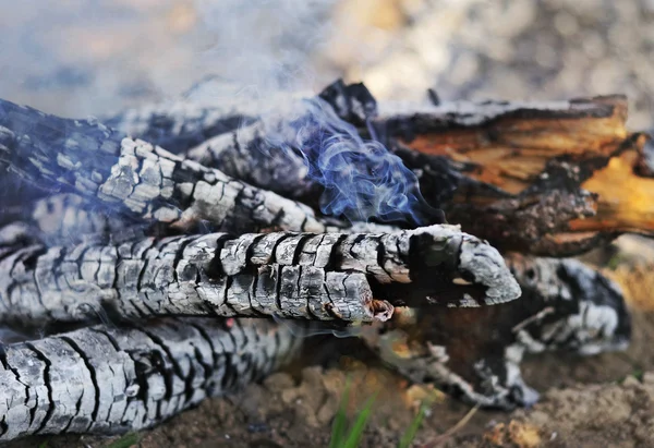 stock image Firewood. Extinguished the fire. Smoldering wood