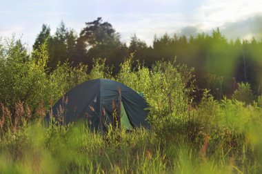 Tent on a green meadow. Summer clipart