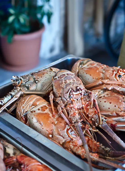 Lobster pe farfurie — Fotografie, imagine de stoc