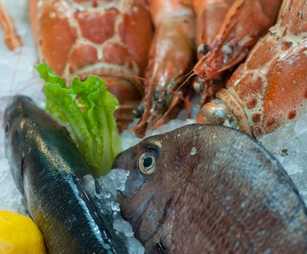 Свіжі морепродукти композиція — стокове фото