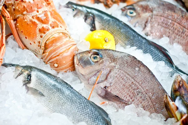 Свіжі морепродукти композиція — стокове фото
