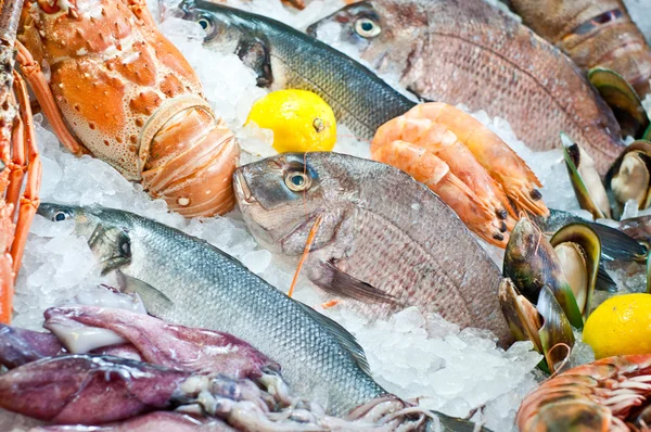 新鮮な魚介類の配置 — ストック写真