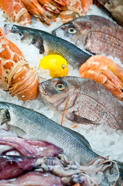 Arranjo de frutos do mar frescos — Fotografia de Stock