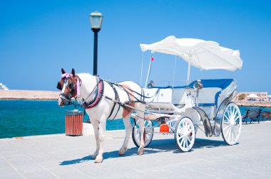 Horse carriage clipart